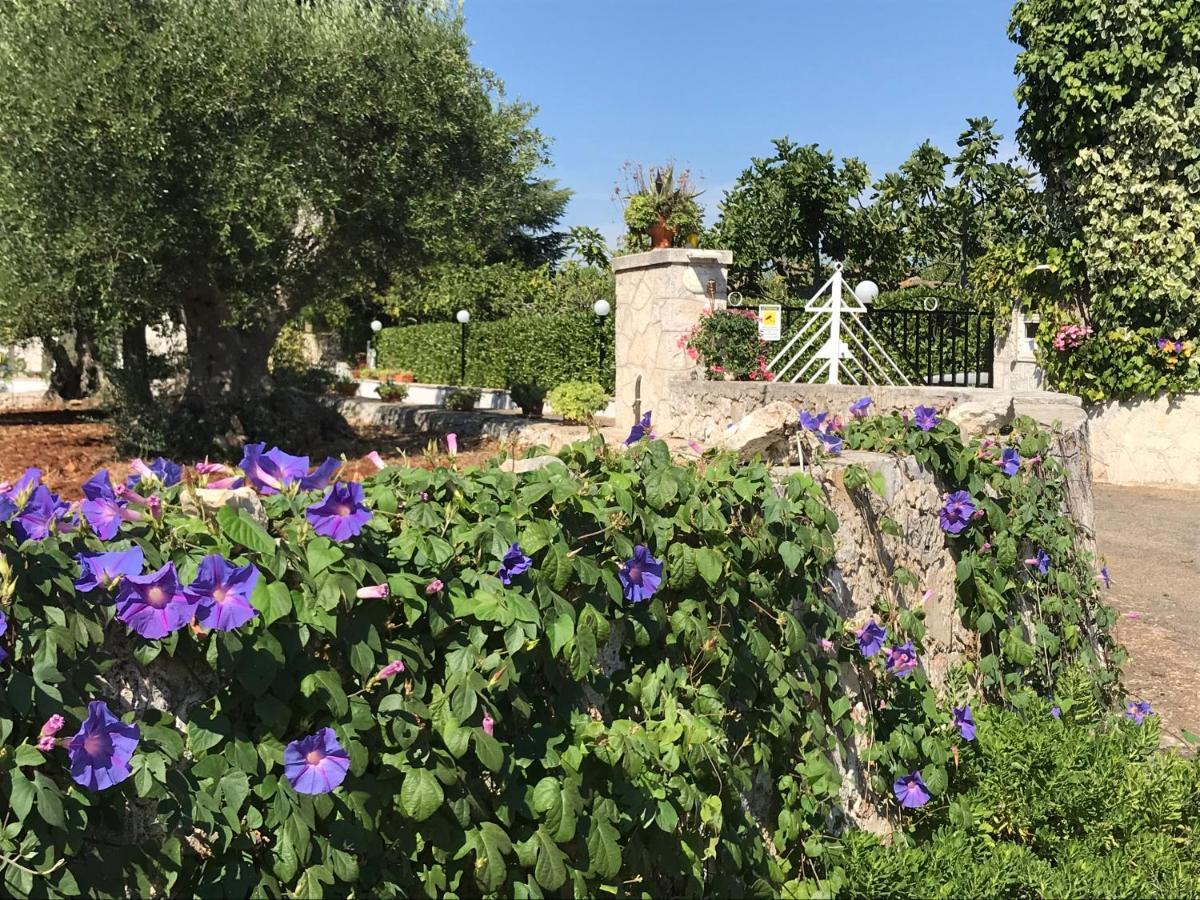 Il Trullo Di Nonno Angelo San Marco Hotel Locorotondo Kültér fotó