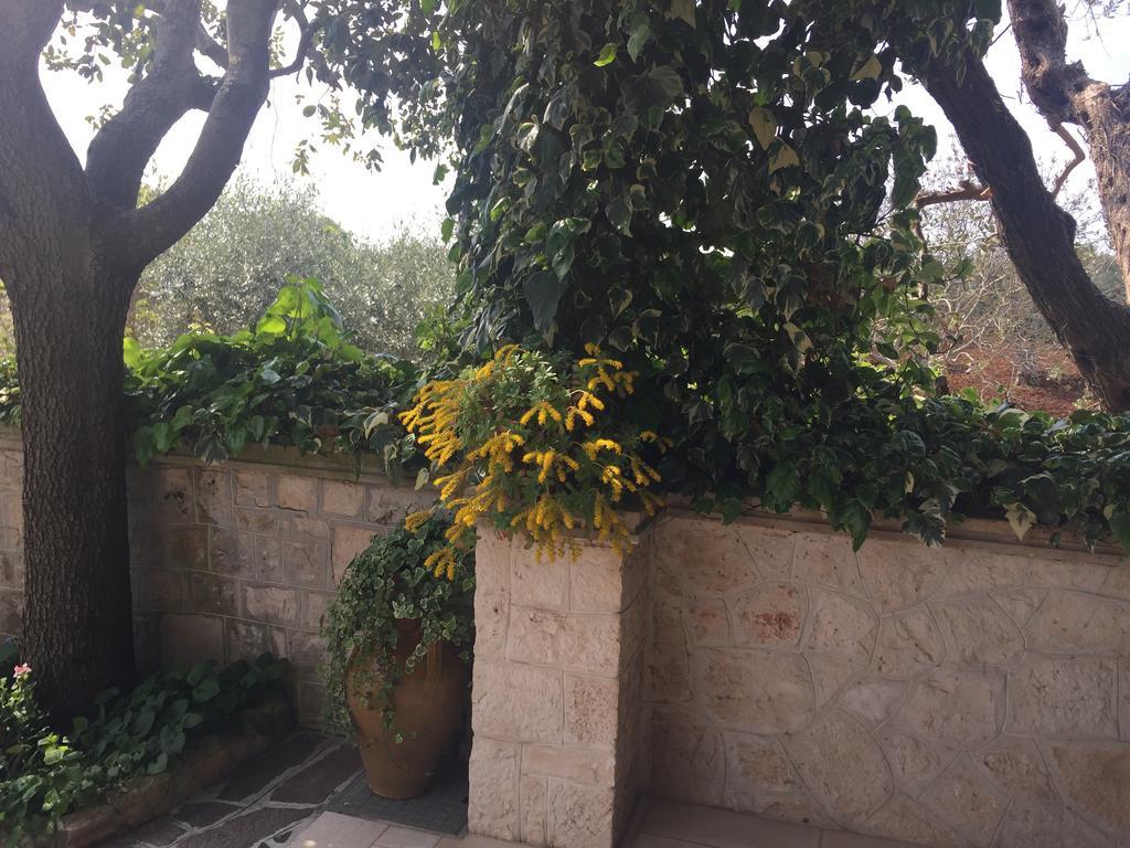Il Trullo Di Nonno Angelo San Marco Hotel Locorotondo Kültér fotó