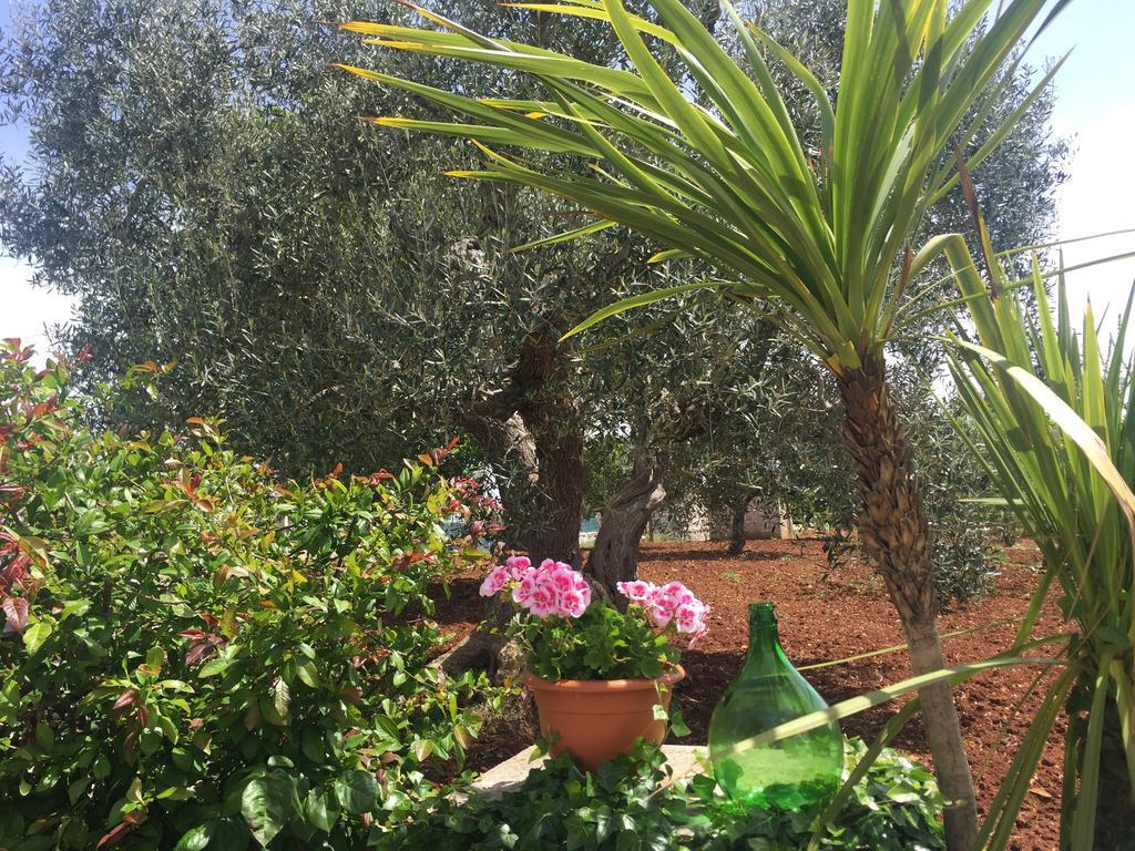Il Trullo Di Nonno Angelo San Marco Hotel Locorotondo Kültér fotó