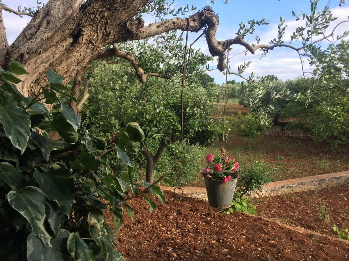 Il Trullo Di Nonno Angelo San Marco Hotel Locorotondo Kültér fotó